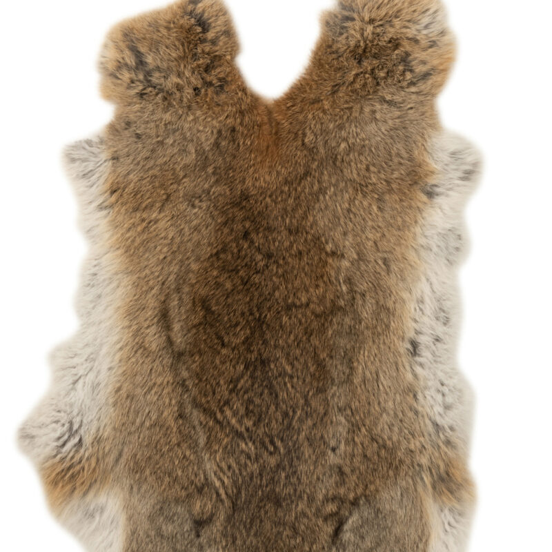 Kaninchenfell Grau-Braun